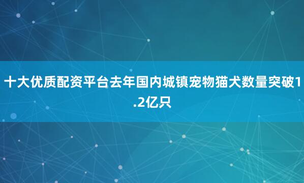 十大优质配资平台去年国内城镇宠物猫犬数量突破1.2亿只