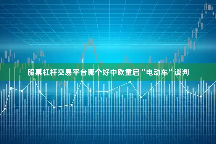 股票杠杆交易平台哪个好中欧重启“电动车”谈判
