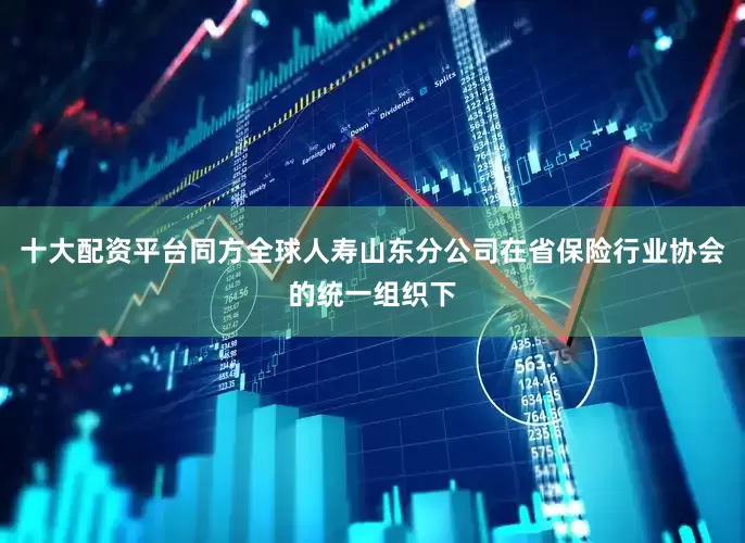 十大配资平台同方全球人寿山东分公司在省保险行业协会的统一组织下