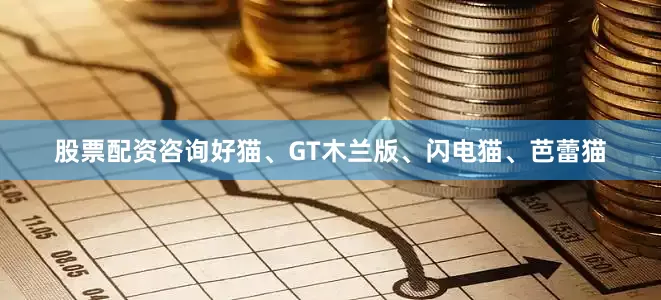 股票配资咨询好猫、GT木兰版、闪电猫、芭蕾猫
