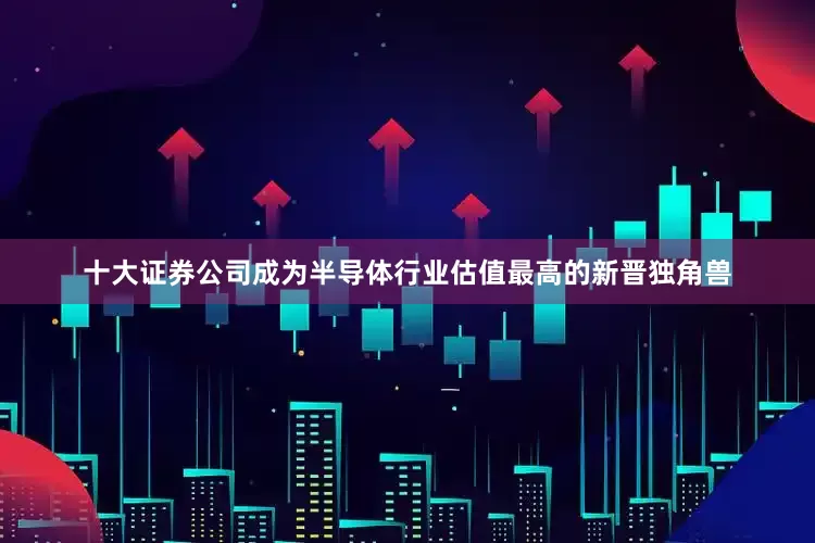 十大证券公司成为半导体行业估值最高的新晋独角兽