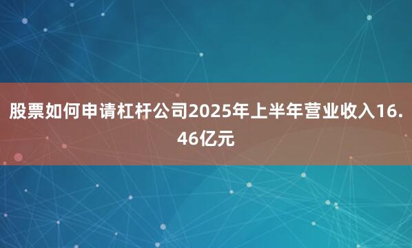 股票如何申请杠杆公司2025年上半年营业收入16.46亿元